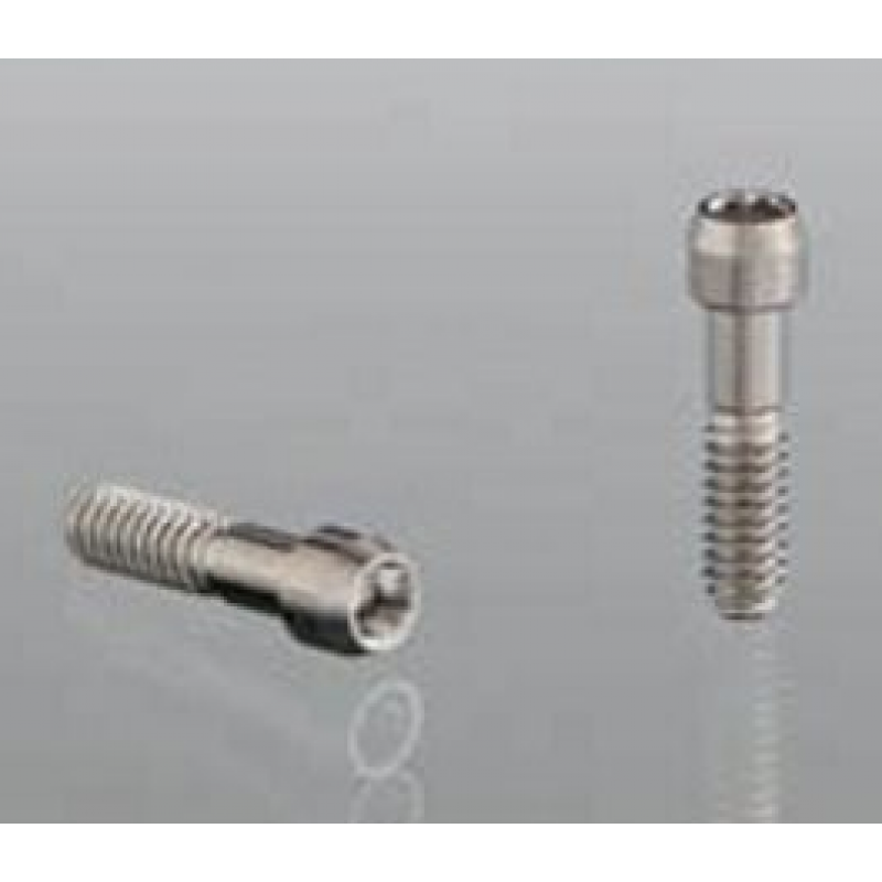 Винты Abutment Screw для TiBase и ScanPost (2 шт.) Винты Abutment Screw для TiBase и ScanPost (2 шт.)
