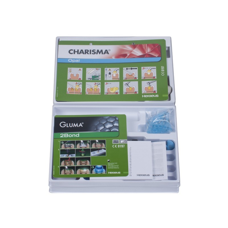 Материал универсальный композитный светоотверждаемый Charisma Opal Syr Master Kit Материал универсальный композитный светоотверждаемый Charisma Opal Syr Master Kit